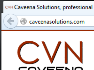 Domain Name: caveenasolutions.com